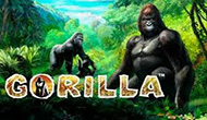 Игровой автомат Gorilla бесплатно онлайн