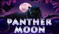 Игровой автомат Panther Moon играть бесплатно онлайн