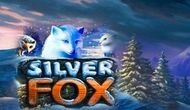 Игровой автомат Silver Fox бесплатно онлайн